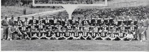 1995 Fannin County High School Football Team