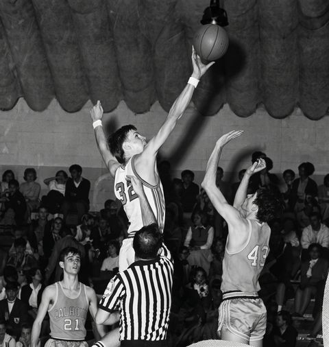 Lynn Phillips